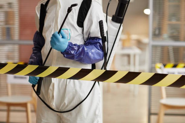 Professional Sewage Cleanup technician working in Springfield, MO